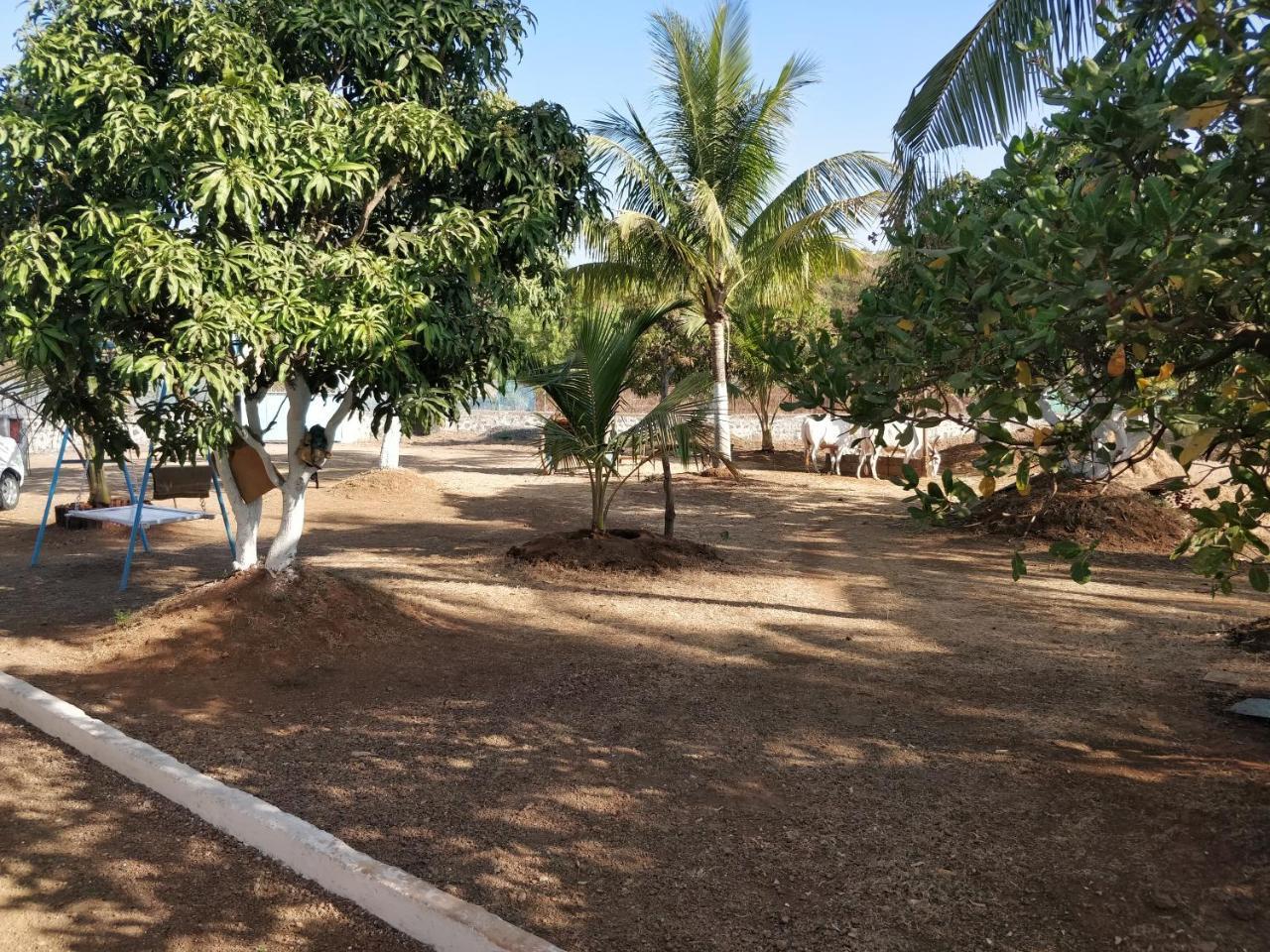 Shree Samarth Farmhouse Murūd Εξωτερικό φωτογραφία